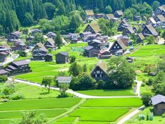 ここだ、ぜったいここ。
ザ・白川郷って感じの眺望です。

限られた耕作地を最大限に利用してますね。
そして妻もきれいにこちら向きです。