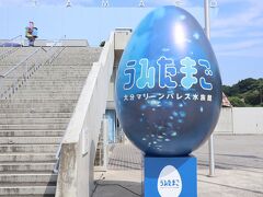 マリーンパレス水族館うみたまご　ペンギン散歩やクジラショーあります

