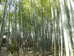 報国寺の竹林です。
平日の朝一に訪れたので、人も少なくて静かでした。
