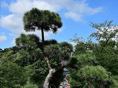 寛永寺清水観音堂