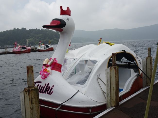 県内で貸別荘ステイ 友人家族と子連れでワイワイ 元箱根 芦ノ湖周辺 神奈川県 の旅行記 ブログ By Mamamamaさん フォートラベル 県内で貸別荘ステイ 友人家族と子連れでワイワイ 元箱根 芦ノ湖周辺 神奈川県 の旅行記 ブログ By Mamamamaさん フォートラベル
