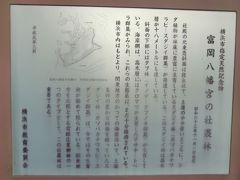 富岡八幡宮の社殿の南東側の丘陵には横浜市指定天然記念物の社叢林が広がっている。傾斜が急であり、内部に入れる観察路等は整備されてない。