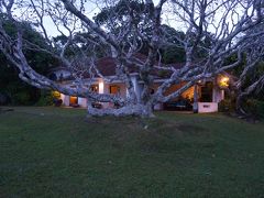 「ルヌガンガ」（写真）で感じた
庭から始まっている建築と似ている・・・
と。