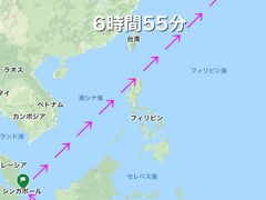 SQ941デンパサール12:10→シンガポール14:55
       ～～乗り継ぎ2時間10分～～
SQ630シンガポール17:05→ 羽田翌日1:00