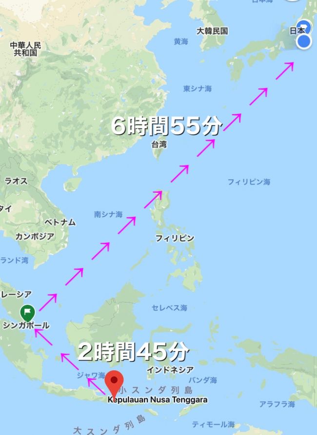 21年7月子連れ海外 5回目 息子5歳6ヶ月 悲願のバリ島6泊9日 再手配編 バリ島 インドネシア の旅行記 ブログ By Akoさん フォートラベル 21年7月子連れ海外 5回目 息子5歳6ヶ月 悲願のバリ島6泊9日 再手配編 バリ島 インドネシア の旅行記 ブログ By Akoさん フォートラベル