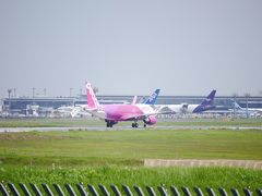 食後にまたまた、さくらの山に来てしまいました。着陸する飛行機が見たく来たのですが、ピーチがこれから離陸体制に入ります。結局、着陸機はこの後来ることなく、さくらの山を後にしました。