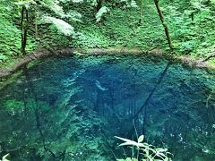メジャーな池が十二湖と呼ばれる湖群で、中でも一番人気が青池。

サファイアよりもブルーの透明感が強い宝石；アウイナイトのような水をたたえた青池の最大水深は8.8ｍ。

青池の脇に作られた展望台の上から眺めると、水底に沈む倒木までがクッキリと見えるクリアさ。