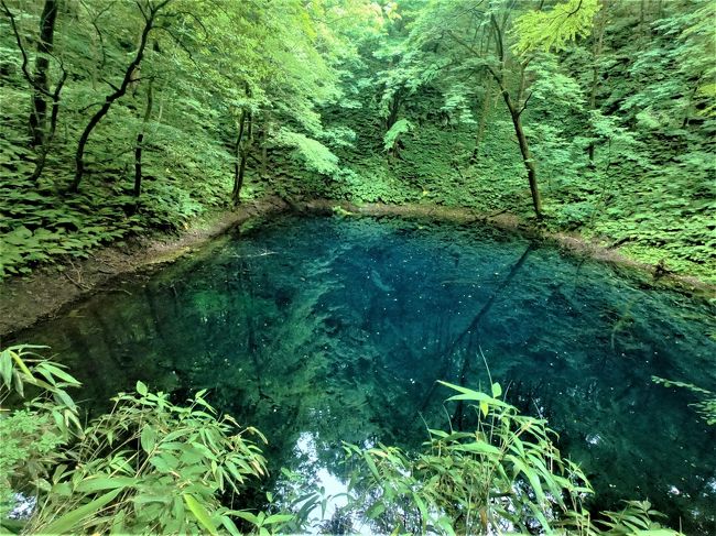 涼に満つるblue World 白神山地のパワーを感じて みちのく夏紀行 7月 白神山地を歩く 2 二ツ森 十二湖 編 八峰 藤里 秋田県 の旅行記 ブログ By ウェンディさん フォートラベル