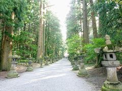 そして神社に入ります。
日光東照宮のような杉並木を抜けていきます。