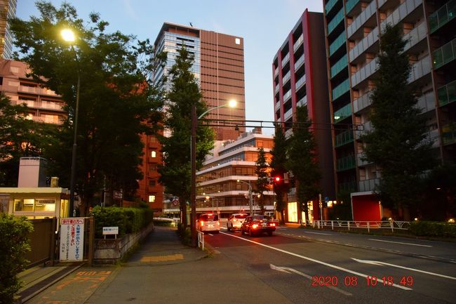 2020 『THE TOKYO TOILET』スケルトントイレを見てきた (^^ゞ』代々木 