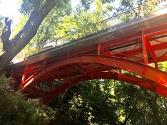 あっという間にゴルフ橋に戻ってきました。
等々力渓谷は、確かに都会にいることを忘れる自然が広がっていました。
今日は暑かったですが、春や秋にまた来たいと思いました。