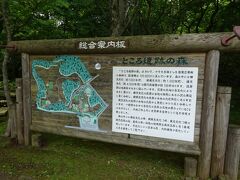 30分ほどでホテルの辺りまで戻ってきました。ホテルの道路を挟んで向かいにあるところ遺跡の森に行ってみました