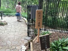 永青文庫を出て、庭園の方へ下りていきました。虫刺されに注意。