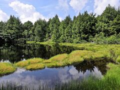 前山サマーリフトを利用して登った少し先にある渋池です。