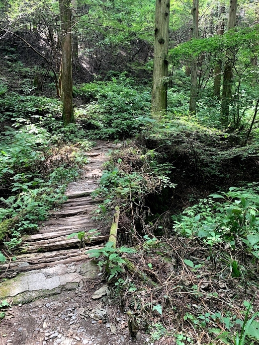 陣馬山と景信山の縦走ハイキング 高尾 八王子 東京 の旅行記 ブログ By Samsoさん フォートラベル