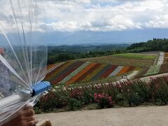 園内カートに乗って。綺麗～
もっとカート代値上げしてもよいと思った。
お土産屋で野菜もたのめます！！