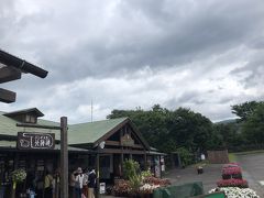 さらに車を走らせて、くじゅう花公園へ。
お花の植え替え時期ということで割引料金になっていました。大人1000円、小学生400円でした。