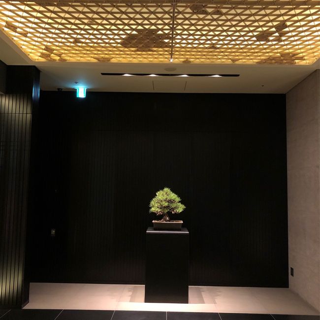 ロビー階のエレベーターホール<br />松の盆栽のディスプレイがこれまた美しい