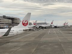 無事に羽田空港に到着です。