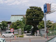 11:30 大運寺
１５９６年に創建されたお寺。
本尊は阿弥陀如来、弘法大師作の石地蔵が本殿に安置されているとのこと。また、一心教一巻雷獣肉附毛地蔵画があるとのこと。

