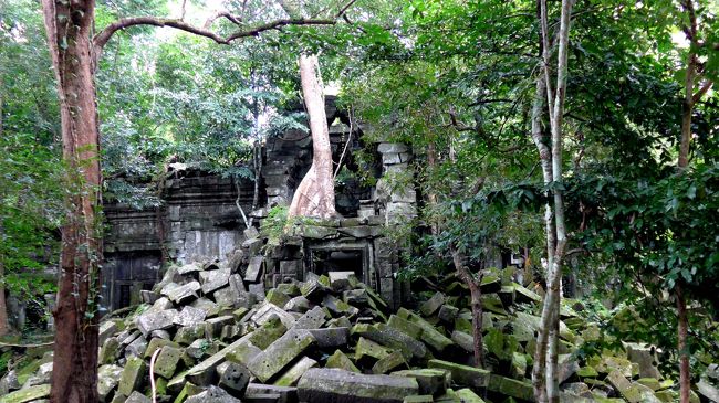 ６＜廃墟！！＞<br />西楼門に到着。<br />「こりゃ、すごい！まさに、廃墟！！」。<br />全ての侵入を拒むように、入り口が瓦礫と大木で塞がれている。<br />