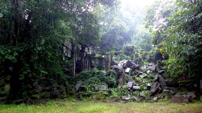 １１＜うん、いい感じ＞<br />ジャングル、瓦礫、スコール、三拍子そろっていい感じ。<br />「遺跡探検」の雰囲気が高まってきたぞ！！<br />