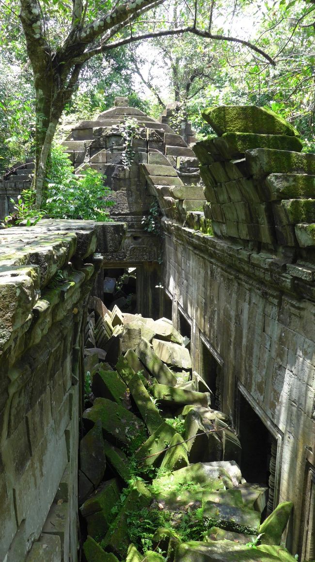 １９＜第二回廊＞<br />第二回廊を上から見たところ。屋根の部分が崩れ落ち、通路を塞ぐ。<br />もう、何百年もこの姿のままなのだろう。