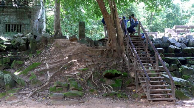 １５＜入り口＞<br />東テラス近くにあるこの階段が入り口。<br />さあ、遺跡探検の始まりだ。<br />