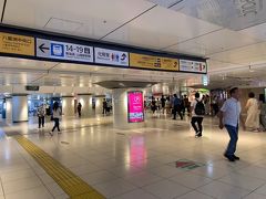 都内在住のころは有楽町線沿線だったので、終点の新木場駅乗り換えで舞浜に行っていたので、こうやって東京駅で乗り換えて京葉線乗り場まで歩くこと自体がめっちゃ久しぶり!

それにしても、人が少ないねー。