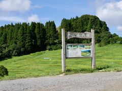 次に訪れたのは大山千枚田。
急勾配の狭い道を恐る恐るのぼると、小さな駐車場がありました。