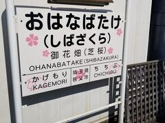 ３分ほど歩いて「御花畑駅（芝桜）駅」へ向かいます。