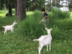 ピーターのソーセージも夕食に欠かせないアイテム。