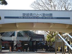 「愛媛県立とべ動物園」。
寒い時期だったので、開園直後はまだ外に出てきていない動物も多く、
ちょっと閑散とした雰囲気でした。