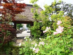 ８月６日木曜日。
山形、赤湯温泉 山形座 瀧波を後にして、レンタカーで蔵王のお釜を目指します。