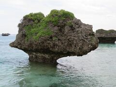 道中、このような頭でっかちの奇岩をあちこちで見かける。「波食窪（又はノッチ）」と呼ばれる景観だそうで、浸食が更に進むと根元から折れるとか…