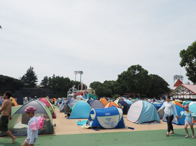 としまえんプール2020年8月 今月で閉園のプール 練馬 東京 の旅行記 ブログ By Last Snow Leopardさん フォートラベル