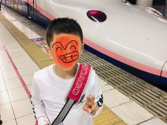 13：03
上野駅で新幹線を見る約束を長男としていました。
あまり覚えていないのですが、地下深くに降りて行って見た気が…。

日本中の新幹線が同じフロアに集まっていて、私も興奮しました！

