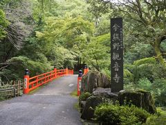 美しい朱の鳥居橋を渡ります。