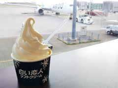 搭乗ラウンジにはカフェがあり、「白い恋人ソフトクリーム」などが食べられます☆
おいしい☆

このように飛行機を見ながら食べられるので、オススメです☆