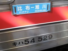 旭川に到着。

旭川では到着後すぐに”サボ入れカエルおじさん”が次の列車に向けてサボを交換してしまいますので、下車時に乗ってきた車両のサボを撮ることが出来ません。

まあ、最近の宗谷本線は、厳密にはサボといえない”宗谷線”柄のプレートを使用しているので、撮る価値もあんまりないけど…。

寧ろ、入れカエルられた後の比布行きのサボの方が貴重だな…(^^;)。