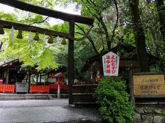 野宮神社 黒木鳥居