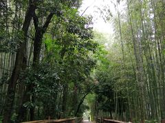 嵐山 竹林の小径