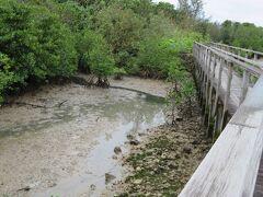 島尻地区にはマングローブ林も残されており、ちょっと立ち寄る。