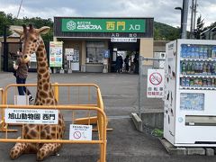 旭山動物園