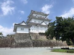 小田原城だけ散歩して見学してきました！