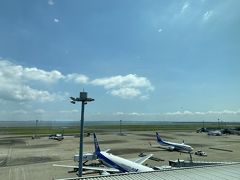 羽田空港はこの日から運航再開した便も多く、賑わいを取り戻していました。