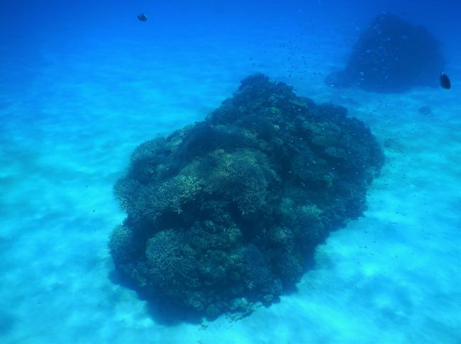 ハナリ島 シュノーケリング 渡嘉敷ブルーに癒される ぼっち旅 慶良間諸島 沖縄県 の旅行記 ブログ By Spandaさん フォートラベル ハナリ島 シュノーケリング 渡嘉敷ブルーに癒される ぼっち旅 慶良間諸島 沖縄県 の旅行記 ブログ By Spandaさん フォートラベル
