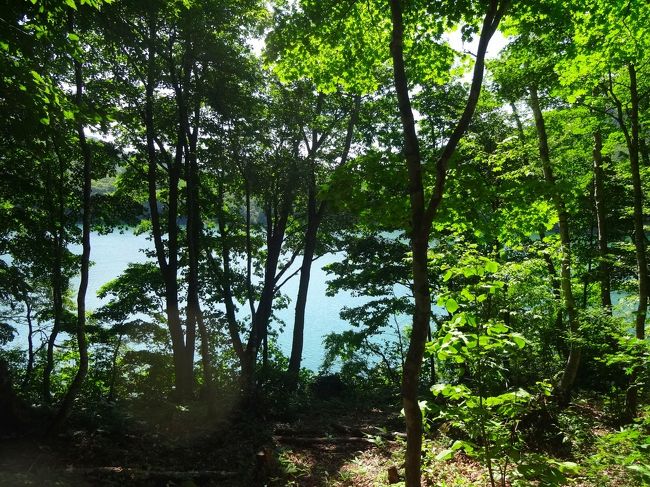 千葉手賀沼の自然を描く,日下賢二「カレイ」6号油彩,割烹,旅館,ダイニングに是非 奥秩父 森林と渓流の馬蹄形 白泰山から股ノ沢林道を歩く(後編