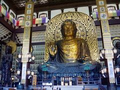 大仏殿に入ると、この大仏。
正確には大仏風か。
でかいwww

高さ17mは、奈良の大仏を上回る。
中国の洛陽の大仏をモチーフにしたとのこと。
使用された銅は220t。

バブルが生んだ銅像である。。。