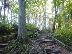 登山道は整備されてますが、麓に近いところはこんな感じで、歩きにくいです。いきなり結構しんどい・・・。